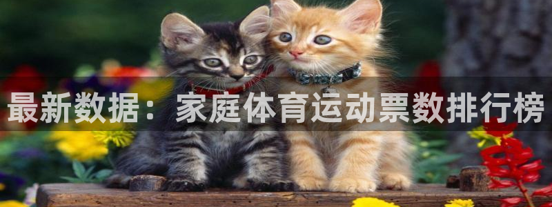 77体育app下载官网：最新数据：家庭体育运动票数排行榜
