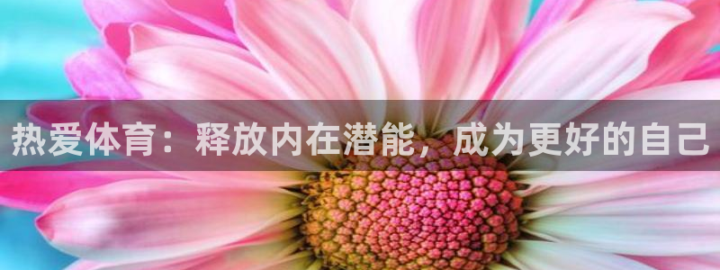 77体育官网：热爱体育：释放内在潜能，成为更好的自己