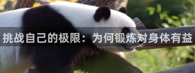 77体育：挑战自己的极限：为何锻炼对身体有益