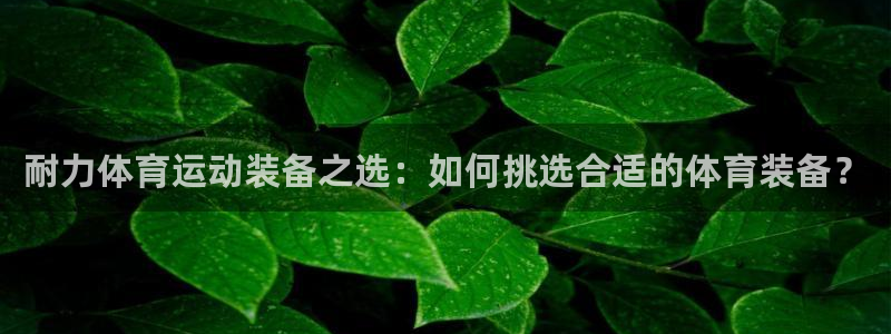 77体育：耐力体育运动装备之选：如何挑选合适的体育装备？