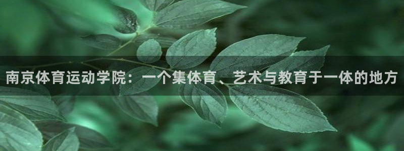 77体育官网：南京体育运动学院：一个集体育、艺术与教育于一体的地方
