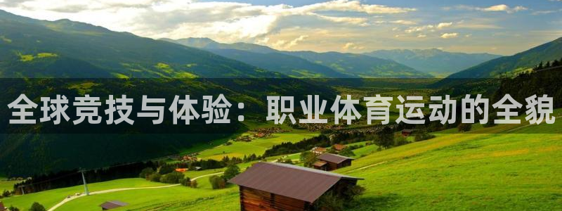 77体育：全球竞技与体验：职业体育运动的全貌