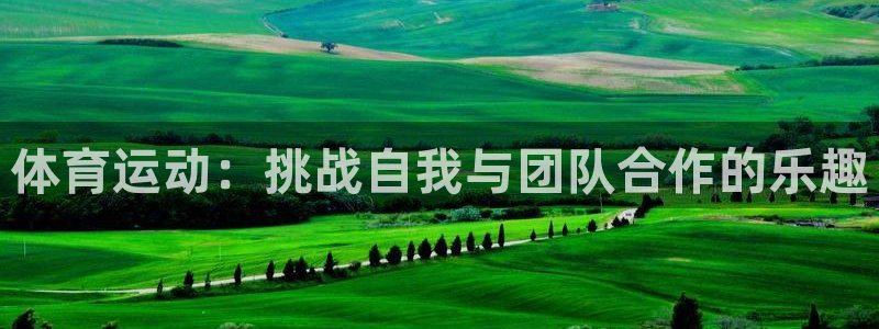 77体育：体育运动：挑战自我与团队合作的乐趣