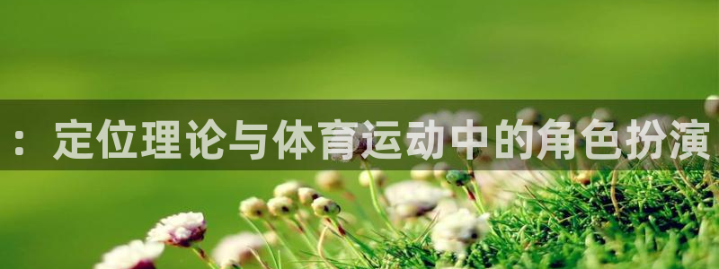 皇冠277体育：：定位理论与体育运动中的角色扮演