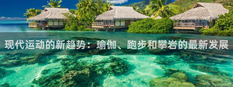 77体育：现代运动的新趋势：瑜伽、跑步和攀岩的最新发展