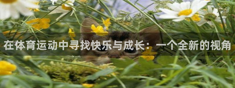 77体育官网：在体育运动中寻找快乐与成长：一个全新的视角
