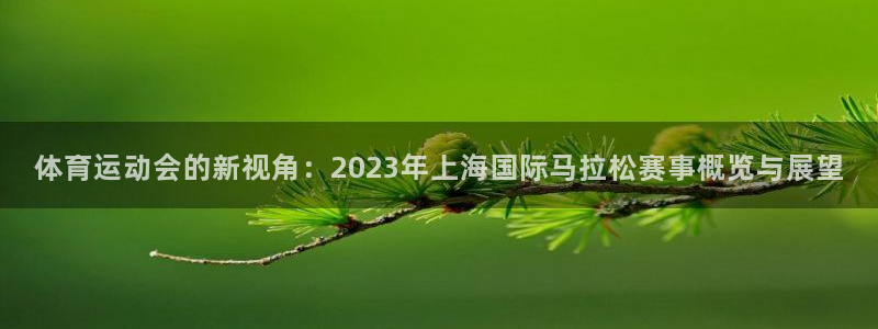 皇冠277体育：体育运动会的新视角：2023年上海国际马拉松赛事概览与展望