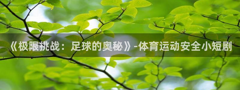 皇冠277体育：《极限挑战：足球的奥秘》-体育运动安全小短剧