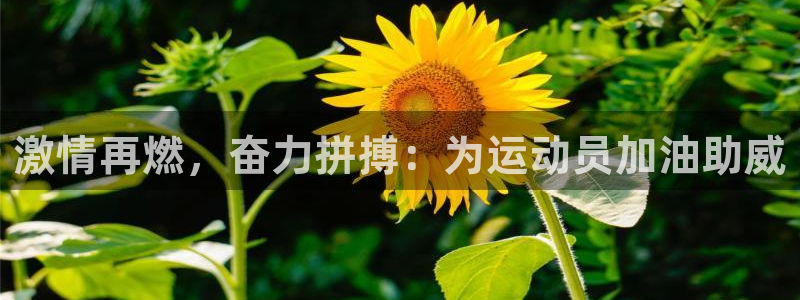皇冠277体育