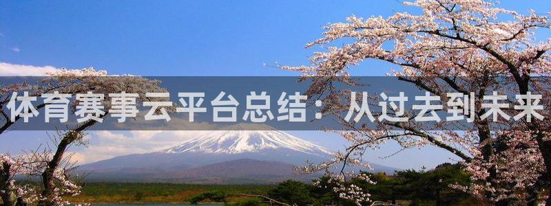 77体育