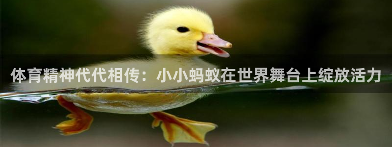 77体育官网