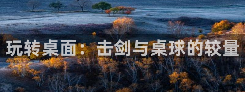 77体育官网：玩转桌面：击剑与桌球的较量